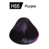 Purple-H66-001